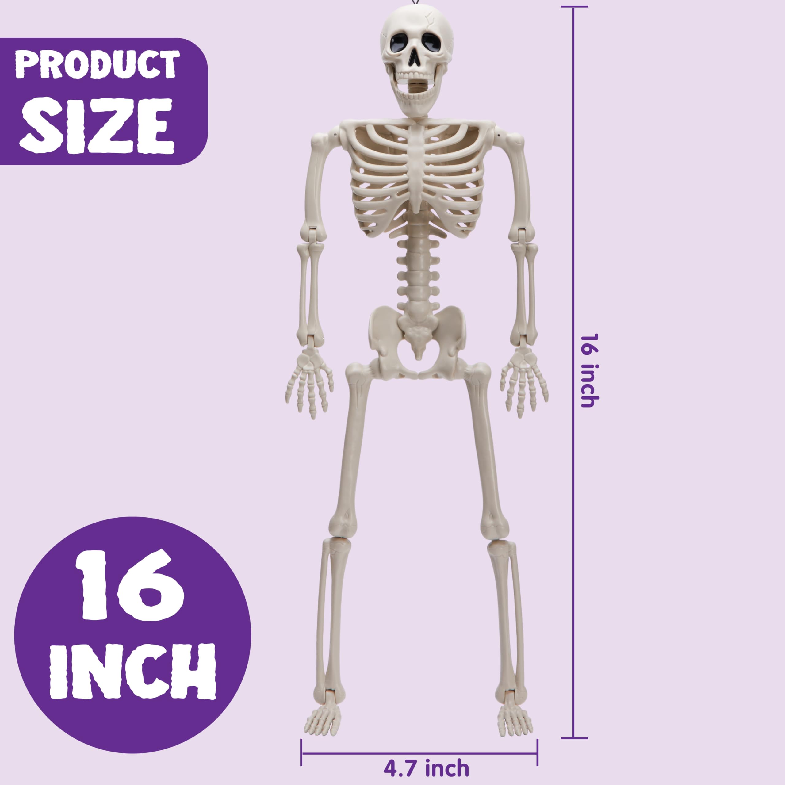 JOYIN 3 PCS Halloween Hanging Skeletons 16" Full Body Posable Joints Movable Plastic Bones for Halloween Party Outdoor Indoor Decor, Yard Patio Lawn Garden Props Decorations