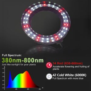 GooingTop Grow Light 6.3'' Ring,6000K 80W White Full Spectrum Gooseneck Plant Lamp for Indoor Home Office Plants Growing,Auto Timer 4 8 12 18Hrs,Height Extendable 15-36'' for Desktop Plants