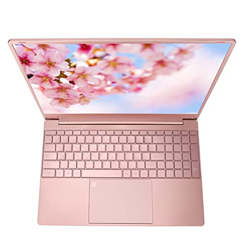 Laptop Computer, Camera Speaker 15.6 Inch Business Laptop 6000mAh Fingerprint Reader 16G RAM 256G SSD Quad Core CPU (16+256G US Plug)