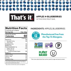 That's it. Mini Fruit Bars Gift Pouch (Variety 36 Count) No Sugar Added, Plant-Based, Vegan & Gluten Free, Paleo, Non GMO, Fiber (12 Banana, 12 Blueberry, 12 Mango)