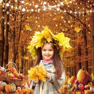 CYLYH 10x10ft Thanksgiving Backdrop Fall Photography Backdrop Autumn Maple Forest Leaves Pumpkin Party Background Thanksgiving Party Supplies Farm Harvest Event Banner Thanksgiving Banner CY579