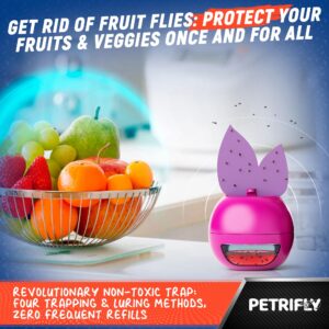 UV Fruit Fly Traps For Indoors + Sticky Traps 2pk- Fruit Fly Traps Indoor For Home - Fruit Fly Trap & Gnat Traps For House Indoor - Gnats And Fruit Fly Killer Indoor - Gnat Catcher,Gnat Trap,Nat Traps