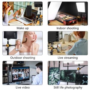 LED Desk Bi-Color Video Light Key Light Studio Streaming Lights Panel Light with Desk Clamp C-Clamp Stand Overhead Phone Mount 3800K-6500K Wireless Remote Studio Photography Lighting for Gaming Zoom