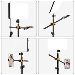 LED Desk Bi-Color Video Light Key Light Studio Streaming Lights Panel Light with Desk Clamp C-Clamp Stand Overhead Phone Mount 3800K-6500K Wireless Remote Studio Photography Lighting for Gaming Zoom