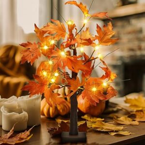 22 inch lighted maple tree fall tree thanksgiving tree decorations with 6 acorns & pumpkins & pinecones autumn decor with 18 led thanksgiving decorations indoor for harvest, fall, party, table