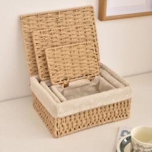 Rattanzenith Wicker Basket with Lid Paper Rope Storage Baskets for Shelves Large Storage Bin with Removable Liner Nesting Decorative Woven Basket for Makeup Closet Organizer (Large, Khaki)