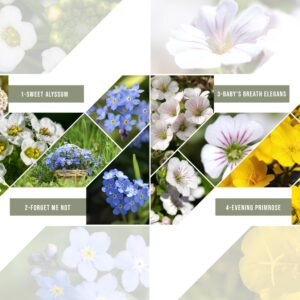 California Wildflower Mix - 10,000 Seeds - 17 Varieties - No Fillers, Open Pollinated and Non GMO, Perennial and Annual Garden Flowers, Attracts Bees and Butterflies