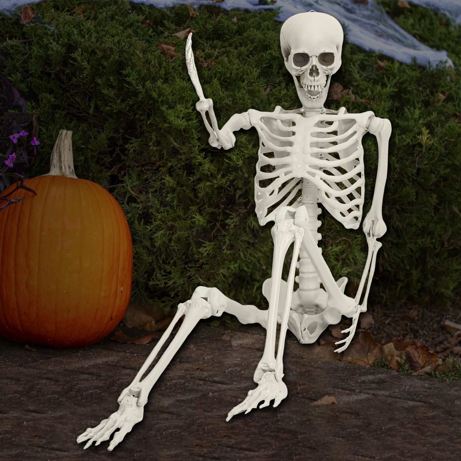 5.4ft Full Body Skeleton Prop with Movable Joints, Poseable Life Size Skeleton Statue for Anatomy Scentific Study Halloween Outdoor Decoration (White)