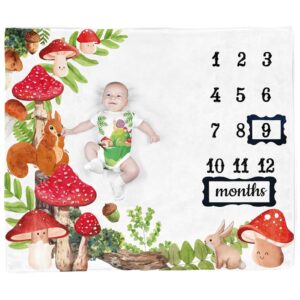 mushroom baby stuff, woodland squirrels baby monthly milestone blanket for newborn photo taken - baby age blanket with 2 frame