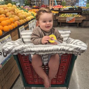 Suessie Shopping Cart Cover and High Chair Cover with Bolster Support Pillow, Gray and White Stripe with Cushion