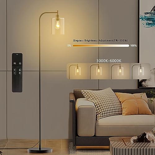 PAZZO LED Floor Lamp, Industrial Standing Lamp with Glass Lampshade, Ideal for Living Room, Bedroom, and Office, Matte Black Finish (Includes Remote Control)