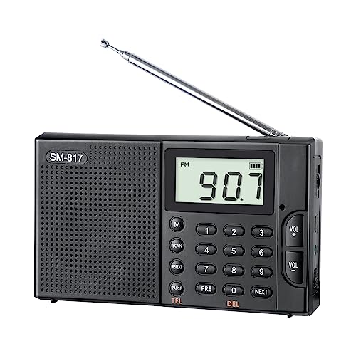 SEMIER Portable AM FM SW Bluetooth Radio with 1200mah Rechargeable Battery, Small Shortwave Radio Digital Tuning, LCD Display, Support USB and Micro SD Card, Build-in Bass Speaker and Earphone Jack