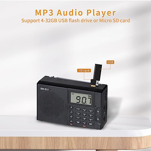 SEMIER Portable AM FM SW Bluetooth Radio with 1200mah Rechargeable Battery, Small Shortwave Radio Digital Tuning, LCD Display, Support USB and Micro SD Card, Build-in Bass Speaker and Earphone Jack