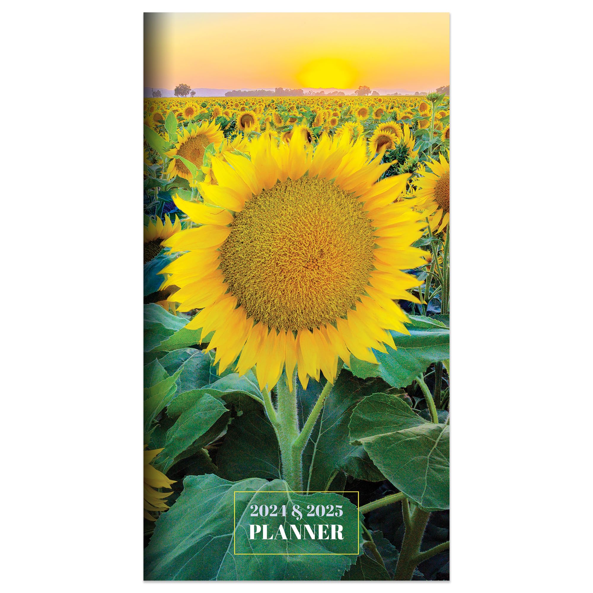 TF PUBLISHING 2024-2025 Bright Blooms 2-Year Small Monthly Pocket Planner | 2-Page Large Calendar Grid and Lined Notes Section in Back | Monthly Day Planner for Purse | 3.5" x 6.5"