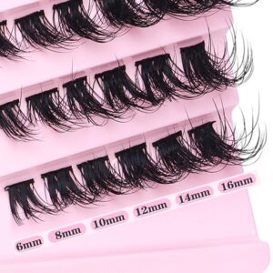 DIY Lash Extension Kit Fluffy Flat Lash Clusters with Kit Lash Bond and Seal and Cluster Eyelashes Applicator Tool D Curl Eyelash Extension Kit Individual Lashes Cluster by FANXITON