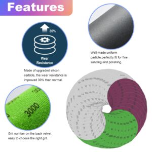 40PCS 5 Inch Wet Dry Sanding Discs, Hook & Loop Orbital Sandpaper 1000/2000/3000/5000 Assorted Grit,Silicon Carbide High Grit Round Flocking Grinding Abrasive Paper for Auto, Wood or Metal Polishing