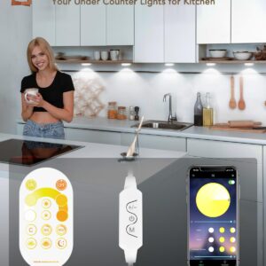 KeShu Under Cabinet Lights Plug in, Dimmable White LED Under Cabinet Lighting Hardwired Closet Lights, Smart Bluetooth APP Remote Control Under Counter Lights for Kitchen, Cabinet