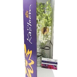 KaBloom PRIME ORVERNIGHT DELIVERY - Serenade of Hope Bouquet of 10 White Orchid With Vase.Gift for Birthday, Sympathy, Anniversary, Get Well, Thank You, Valentine, Mother’s Day Fresh Flowers