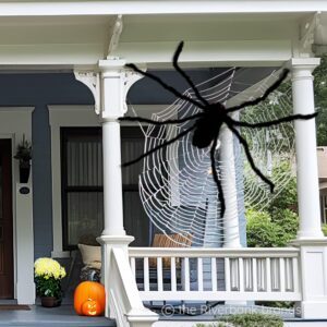 the Riverbank brands New X-Large 16-inch Body Plush Black Fake Spider in Reusable Bag for Halloween: Beady Red Eyes; Impactful Halloween Decorations for a Perfect Haunted House