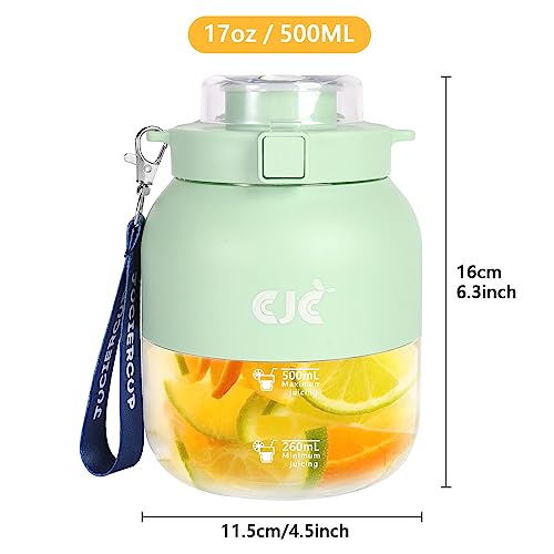 OKYUK 17 Oz Portable Blender, USB Rechargeable, Green, 10 Blades, 18500 RPM, Powerful Crushing, Fast Juicing, 0.5L Capacity