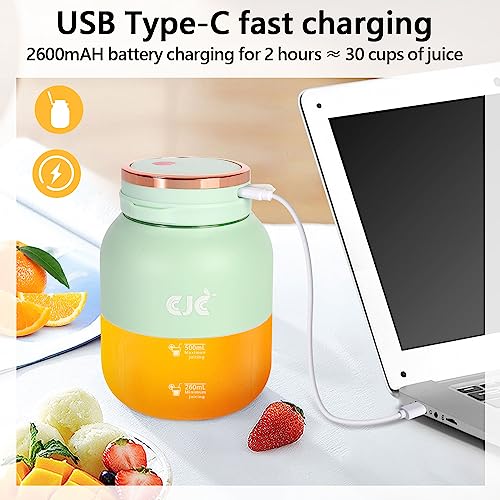 OKYUK 17 Oz Portable Blender, USB Rechargeable, Green, 10 Blades, 18500 RPM, Powerful Crushing, Fast Juicing, 0.5L Capacity