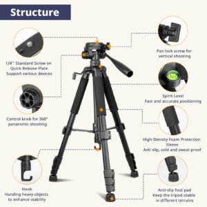 Eicaus 55 Inch Heavy Duty Tripod Stand for Cameras, Cell Phones, Projectors, Webcams, Spotting Scopes - Complete Unit for Canon, Nikon, Sony - Perfect for Phone & Camera Photography