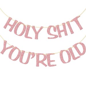 holy shit you're old banner rose gold glitter for 30th 40th 50h 60th 70th 80th 90th funny birthday banner sign bunting party decor photo booth props (rose gold)