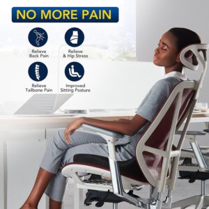 Seat Cushion for Desk Chair Cushion for Hip Tailbone Pain Relief Memory Foam Seat Cushion for Car, Driver, Office Desk Chair Cushion for Gaming Ergonomic Patented Office Chair Cushion Pad Donut Pillow