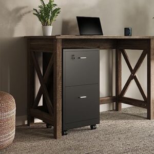 Lavish Home File Cabinet - 2-Drawer Cabinet with Lock and Deep Drawer Storage - Rolling Filing Cabinet for Under The Desk, Home, or Office (Black)