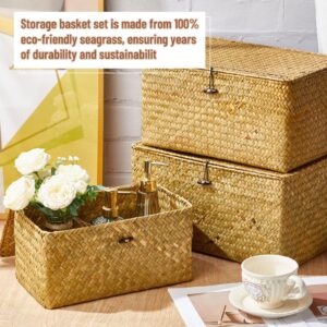Kigley 6 Pcs Seagrass Baskets with Lids Wicker Storage Basket Organizer Baskets Handwoven Large Rectangular Basket Boxes Summer Woven Baskets for Shelf Closet, 6 Sizes(Yellow, Classic Style)