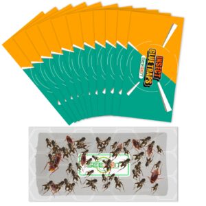 10 pcs large glue trap strips for trapping insects, mice, spiders, bugs, crickets, scorpions, roaches, super sticky & non-toxic glue boards pre-baited with fruity scent attractant - 12 x 6 in