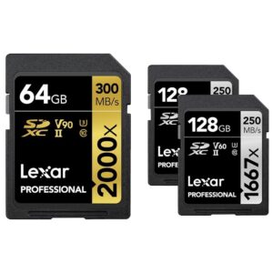lexar 64gb and 128gb sdxc memory cards bundle | uhs-ii