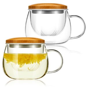 Uiifan Set of 2 Glass Tea Cup with Infuser and Lid 11.8 oz Clear Glass Mugs Thickened Glass Tea Infuser Cup with Removable Strainer for Steeping Blooming Tea Loose Leaf Tea Bag Family Daily