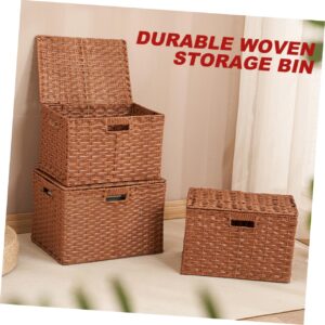 Cabilock Wardrobe Organizer Seagrass Storage Basket Drawer Storage Makeup Organizer File Storage Organizer Small Basket with Lid Wicker Organizing Bins Imitation Rattan Simple Storage Bag