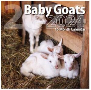2024 baby goats full size wall calendar for planning, scheduling, and organizing