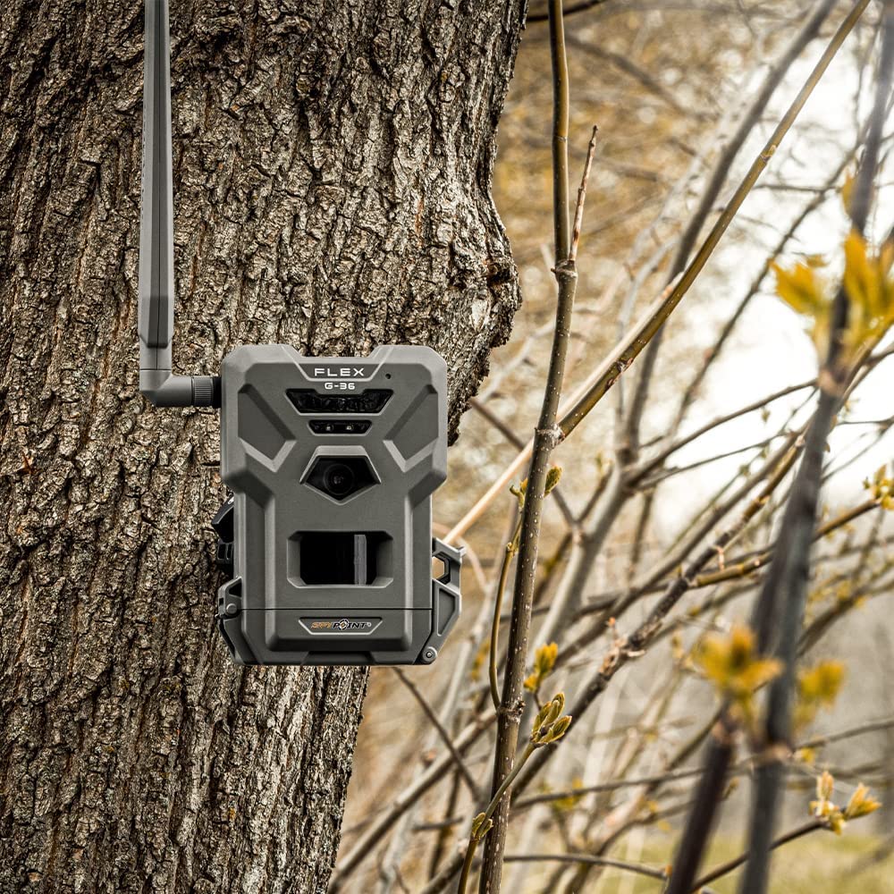 SPYPOINT Flex G-36 Twin Pack Cellular Trail Camera, 36MP Photos and 1080p Videos with Sound, GPS Enabled, Dual-Sim LTE Connectivity, 100' Flash & Detection Range + Two 32GB Micro SD Cards