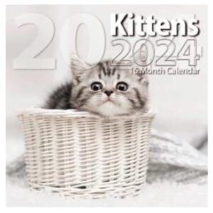 2024 kittens full size wall calendar for planning, scheduling, and organizing