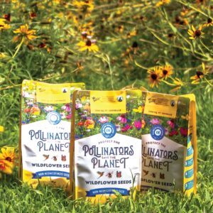 BUZZY Wildflower Pollinator Seed Mix (1lb Bag), 18 Pollinator-Friendly Varieties, Protect The Pollinators & Save The Planet, Coneflower, Sunflower, Calendula, Cosmos, & More, Growth Guaranteed