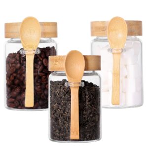 glass jar with screw lid and spoon set of 3, 16 oz tea containers for loose leaf tea, salt and sugar containers for countertop, yogurt jars for overnight oatmeal