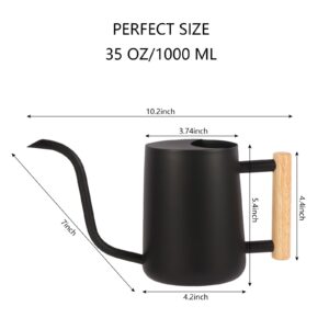 GUKJOB Plant Watering Can,35oz Metal Watering Can,Stainless Steel Watering Can Indoor Plants with Long Curved Spout,Small Watering Can for Indoor Plants,Bonsai Outdoor Garden Modern Decorative(Black)