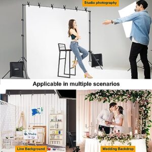 LINCO Backdrop Stand for Parties Kit 10x7 ft Adjustable Back Drop Photography Studio Photo Background Support System with Clamps, Sand Bag, Carrying Bag 4172