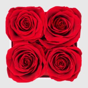 Graceful Fleurs | Real Roses That Lasts for Years | Preserved Fresh Flowers for Delivery Prime Birthday | Mothers Day Flowers Gifts | Forever Roses in a Box (Red, White Box, 4 Roses)