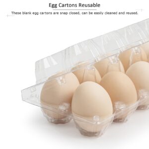 ALISWAT Clear Plastic Egg Carton for 12 Eggs, 48Pack Egg Tray Reusable Medium Size Egg Cartons Suitable for Refrigerator Chicken Farm Markets, Egg Cartons Cheap Bulk, 2x6Grids