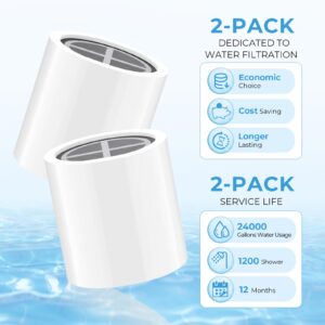 20 Stage Shower Head Filter Shower Filter Replacement Cartridge for Hard Water Compatible With Any Similar Design Showerhead Filter Reduces Chlorine Fluoride 2 Pack