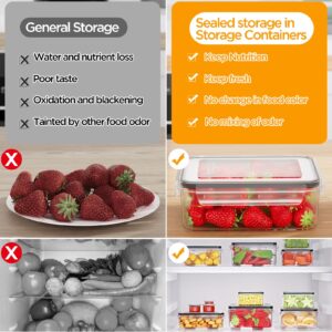 20 PACK Food Storage Containers with Lids Airtight, Larger Leakproof Plastic Meal Prep Containers Stackable Reusable for Kitchen Organization storage with Labels & Pen, BPA-Free, Microwave Safe