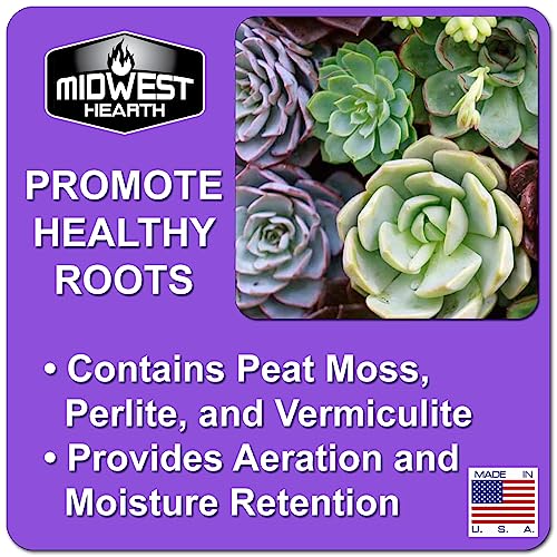 Cactus Succulent Natural Potting Soil Mix (Made in USA) (4 Dry Quarts)