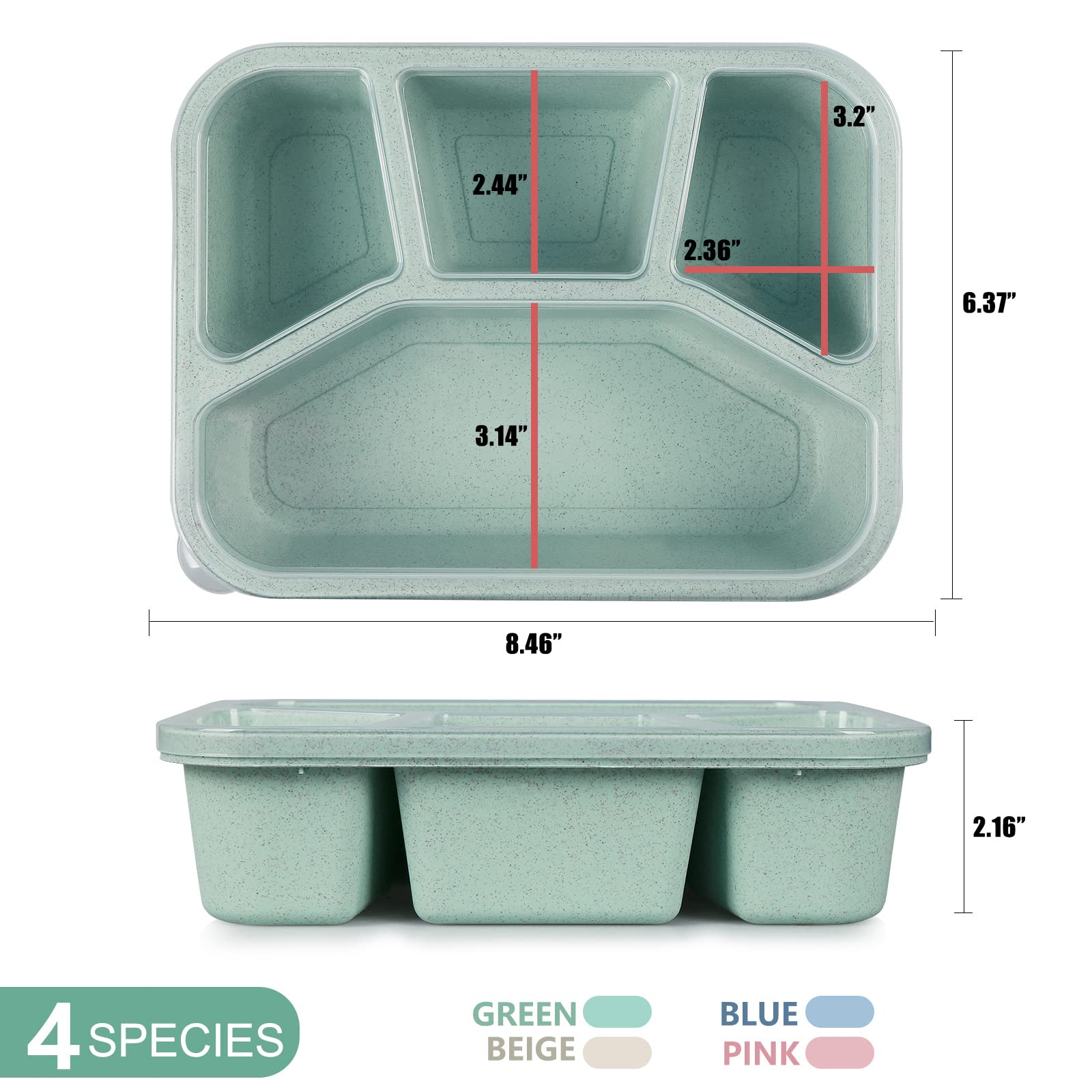 shopwithgreen 8 Pack Bento Lunch Box for Kids, 4 Compartment Meal Prep Lunch Containers for Adults, Reusable Microwave and Dishwasher Safe Food Storage Container for School Work Travel Camp, BPA Fre