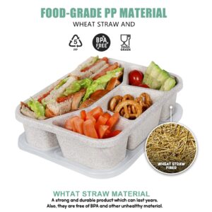 shopwithgreen 8 Pack Bento Lunch Box for Kids, 4 Compartment Meal Prep Lunch Containers for Adults, Reusable Microwave and Dishwasher Safe Food Storage Container for School Work Travel Camp, BPA Fre