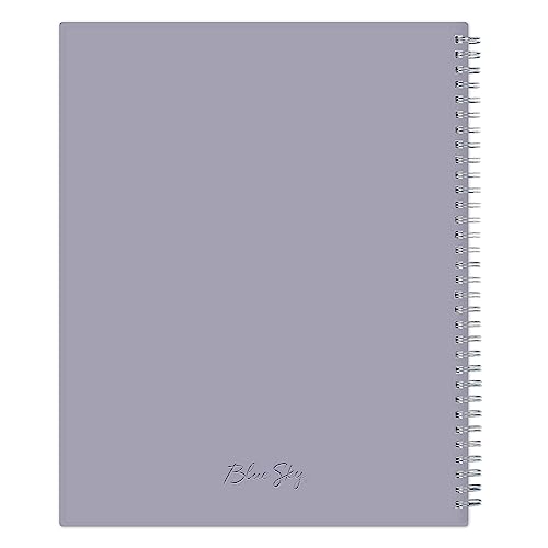 Blue Sky 2024 Weekly and Monthly Planner, January - December, 8.5" x 11", Frosted Cover, Wirebound, Rue Du Flore (101602-24)