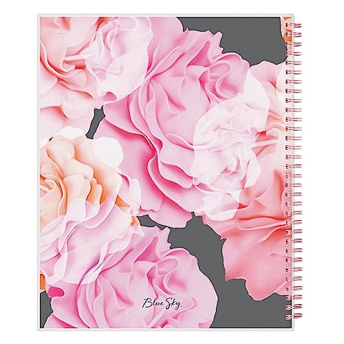 Blue Sky 2024 Weekly and Monthly Planner, January - December, 8.5" x 11", Frosted Cover, Wirebound, Joselyn (110394-24)